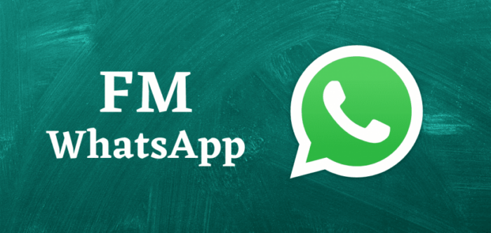 4. FM WhatsApp