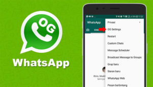 Download OG WhatsApp (OG WA) Official Versi Terupdate 2022