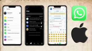 Download RA WhatsApp (RA WA) Official Tema iOS Terbaru 2022