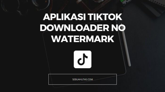 Download TikTok Downloader