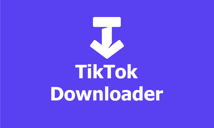 Mengenal Apa Itu TikTok Downloader