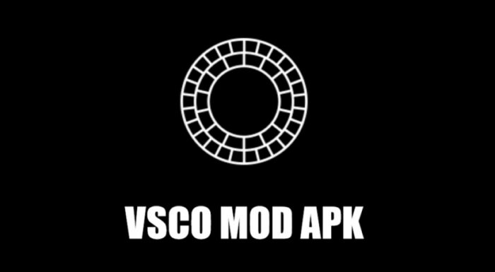 Mengenal VSCO Mod Apk