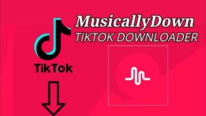 MusicallyDown Download Video dan Lagu TikTok Tanpa Watermark