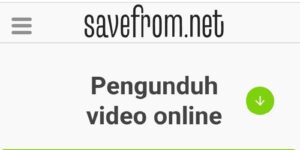 Savefrom.net Unduh Video Youtube Kualitas HD Cepat Dan Mudah