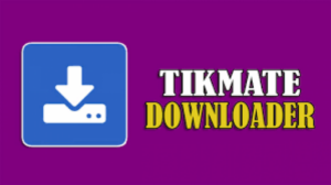 Tikmate Cara Mudah Download Video TikTok Tanpa Watermark