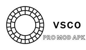 VSCO Mod
